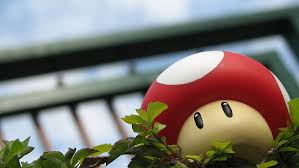 Hd Wallpaper Red And Brown Mushroom Toy Super Mario Focus On Foreground Wallpaper Flare 14:01 master0fhyrule recommended for you. brown mushroom toy super mario focus