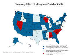 Wisconsin One Of Five States Where Dangerous Exotic Animals Can Be Pets Wisconsinwatch Org