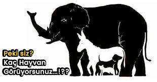 Gorsel Zeka Testi Bu Resimde Kac Hayvan Var 1000 Kisiden Sadece 1 I Resimdeki Tum Hayvanlari Gorebiliyor Bitkilog Moose Art Animals Character