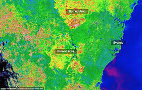 Sydney Bush Fires Burned Areas And Smoke Shown In Satellite Image Analysis Satellite Image Satellites Australia