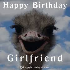 The happy birthday meme which we have provided here are derived from the ideas taken from famous series, hollywood films, and memes about drunk guests, funny pet emotions etc. Funny Birthday Memes For Her Happy Birthday Meme For Girlfriend
