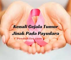 Sehingga, anda perlu membedakan letak benjolan normal pada payudara dengan. Kenali Gejala Tumor Jinak Pada Payudara