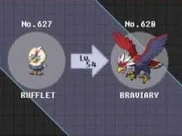 Rufflet Evolution Chart Www Bedowntowndaytona Com