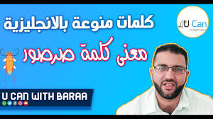 انقراض إسهام تتفاعل معنى كلمة مكنسه بالانجليزي Cabuildingbridges Org