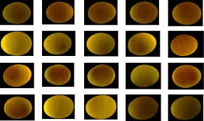 Maybe you would like to learn more about one of these? Penerapan Artificial Neural Network Untuk Klasifikasi Fertilitas Telur Itik Menggunakan Raspberry Pi Abstrak Pdf Free Download