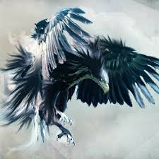 Pin By Enas Belal On خلفية Eagle Wallpaper American Flag Wallpaper