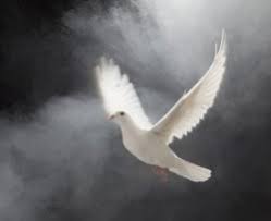 As a symbol of the church, the agent through which the holy spirit works on earth. The Holy Spirit And The Dove Sharper Iron