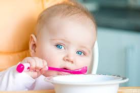 10-12 Ay Beslenme Tablosu - Gurme Bebek