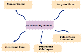 Peran Penting Matahari Bagi Bumi Mikirbae Com