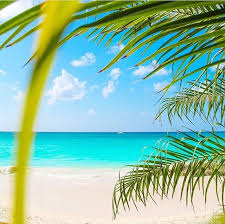 With Views Like This You Ll Never Want To Go Home Stevefrancees Aruba Visitaruba Paradise Onehappyisland Visit Aruba Aruba Beach Aruba