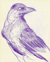 Sleenfire A Quick Crow Sketch Because I Haven T Used Pencil In A While And I Miss It Crows Drawing Japanese Drawings Pencil Drawings