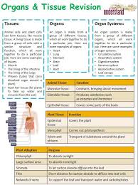 David Chalk Teacherchalky1 Twitter Biology Revision Gcse Science Gcse Science Revision