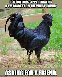 Aic was one of the greatest bands of the 90s. Imgflip Create And Share Awesome Images