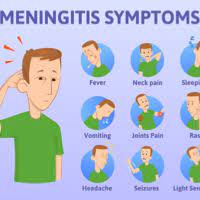 Meningitis | Health Navigator Nz