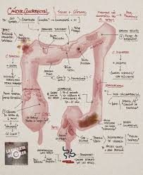 Pin En Medicina