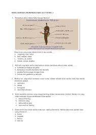 Dec 11, 2020 · contoh soal diagram gambar kelas 5 sd. Doc Soal Bahasa Indonesia Kelas 5 Tema 3 Risty Wulandari Academia Edu