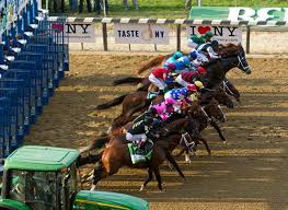 Expert pick of the week: Belmont Stakes Shortened Will Be Run June 20 40 Stakes Meet Begins June 3