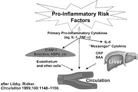 Markers Of Inflammation And Cardiovascular Disease Circulation