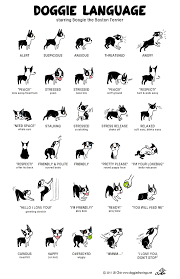 38 Unexpectedly Brilliant Tips For Dog Owners Dog Language Dogs Pets