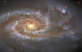 Jump to navigation jump to search. Picture Of The Week Esa Hubble