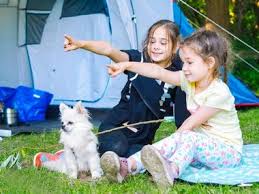 The fees are reasonable, $10/night extra for the privilege of bringing your canine pal along for the ride. 25 Best Dog Friendly Campgrounds In The United States