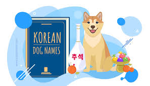 Amazing means it is completely different from their other ones, which has no value. 30 Most Popular Korean Dog Names Pup Junkies
