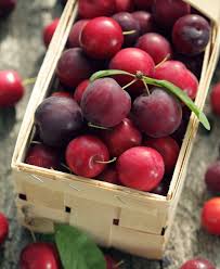Nadia Cherry Plum Fruit Trees For Sale Plum Fruit Fruit