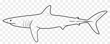 Ukuran biasa bagi kain rentang jalur gemilang ialah 12 kaki panjang dan 3 kaki lebar pada nisbah 4:1. File Shortfin Mako Svg Hitam Putih Ikan Hiu Hd Png Download 1280x456 4112326 Pngfind