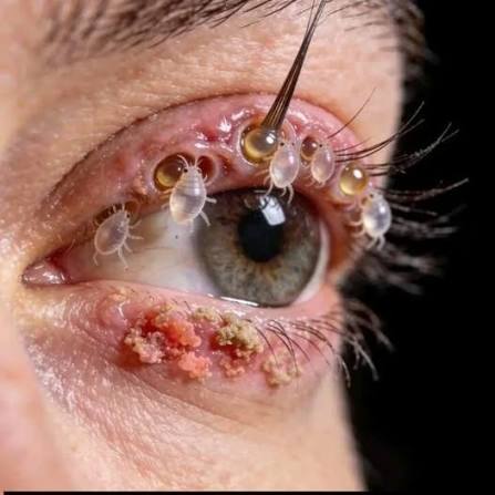 Native - These are the consequences of sleeping with a... See more |  Facebook
