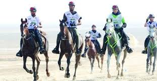 سحب تنظيم بطولة العالم لسباقات القدرة من الامارات Harem Pants Horses Arabian Horse