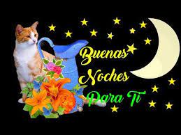 Buenas Noches Que Descanses Abrelo Hermoso Mensaje Especial Para Ti Dulces Suenos Youtub Buenas Noches Descansa Buenas Noches Buenas Noches Dulces Suenos