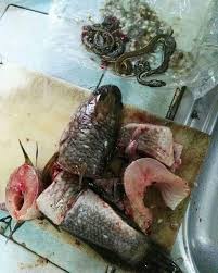 3.475 resep ikan haruan ala rumahan yang mudah dan enak dari komunitas memasak terbesar dunia! Kalau Memancing Dapat Ikan Page Cintai Aku Seadanya Facebook