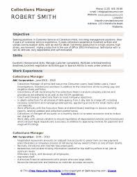 collections manager resume samples