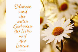 Geburtstagsgedichte Spruche Wunsche Textvorschlage Gedanken Zum Geburtstag