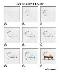 How To Draw A Cricket - Helloartsy