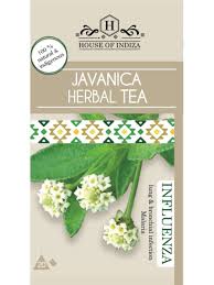 Image result for Lippia javanica
