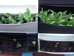 My Vertical Garden With Ikea Trones Ikea Trones Balkon Ikea