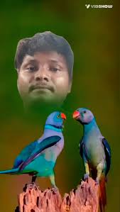 Reel by Asman ali (@asman.ali79827803) · January 9, 2026