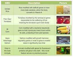 Changes relating to a product's dependability and durability. Examples Of Gmos Bioninja