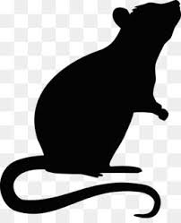 Black And White Computer Mouse Clipart Rat Mouse Png Rat Mouse Transparent Clipart Free Download Hamster Rat Mouse Rodent Pet Pet Rat Cat Silhouette Mouse Rat Hamster