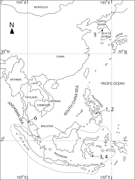 A New Species Of Boholina Crustacea Copepoda Calanoida And A First Record For Stygobiotic Calanoid Fauna From A Cave In Thailand Watch movies online the most complete online cinema. stygobiotic calanoid fauna from a cave
