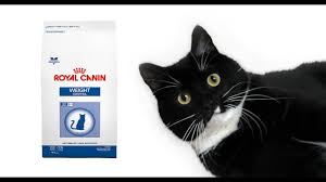 royal canin weight control dry cat