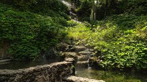 Maybe you would like to learn more about one of these? Things To Do Hot Springs National Park U S National Park Service