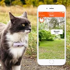 collier gps et traceur pour chat guide d achat 2021