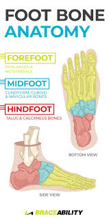 Pin On Foot Toe Injuries Fractures Sprains Arch Pain Plantar Fasciitis Nerve Injuries And Drop Foot