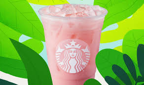 Venti pink drink with vanilla cold foam and a scoop of matcha powder in the cold foam. Starbucks Launches New Vegan Pink Drink For Summer Vegnews