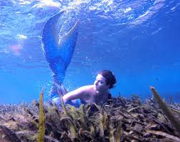 Image result for real mermaid