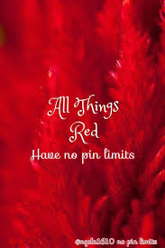 Ngela1610 No Pin Limits Red Color Red Aesthetic Burgundy Red