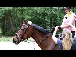 Wiedereinsteiger Reittraining Und Osteopathische Pferdebehandlung Pferdecheck Bei Ariane Telgen Youtube Reiten Pferd Training