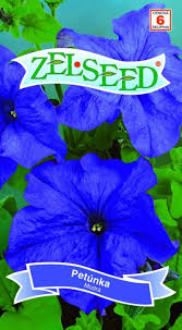 Image result for foto petúnie